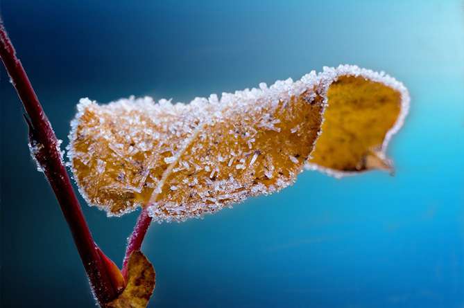 Weather without precipitation is expected
