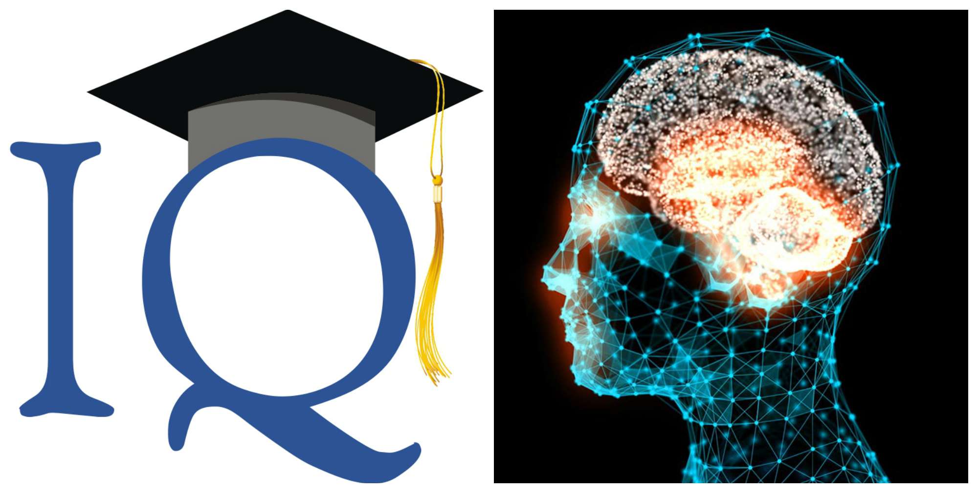 Армения занимает 9-е место в мире по уровню IQ.