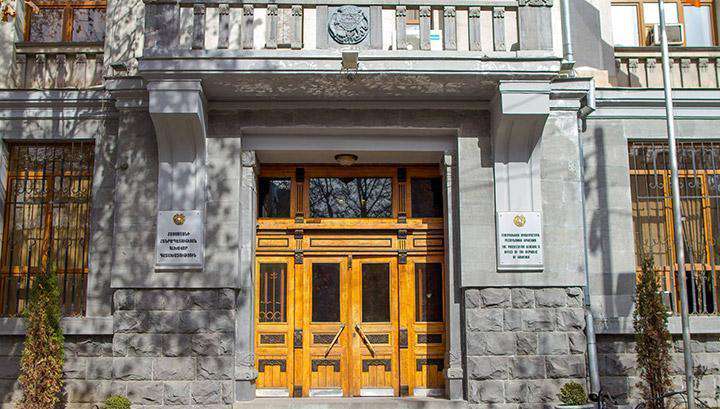 Կատվի նկատմամբ առանձնակի դաժան վերաբերմունք են դրսևորել