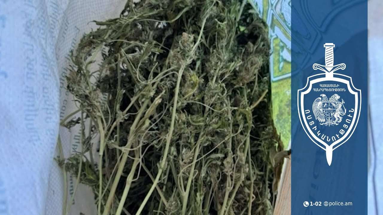 Տանն ապօրինի պահում էր  կանեփից պատրաստված թմրամիջոց