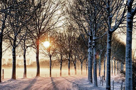 Weather without precipitation is expected