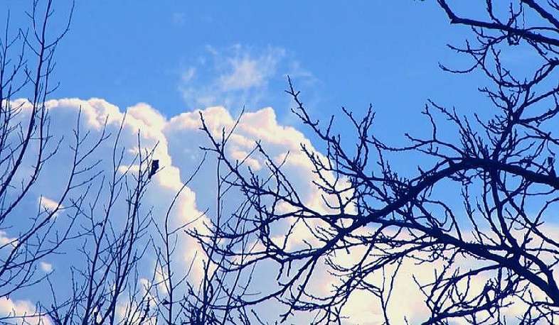 Weather without precipitation is expected