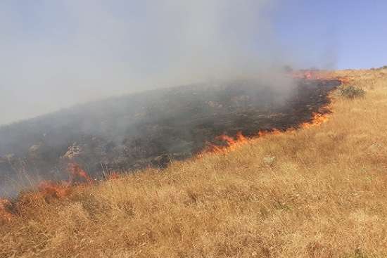 Հրդեհ Ծովագյուղի հարակից սարերում