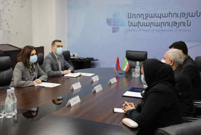 Դեղագործությունը հայ-իրանական գործակցության նոր դաշտ