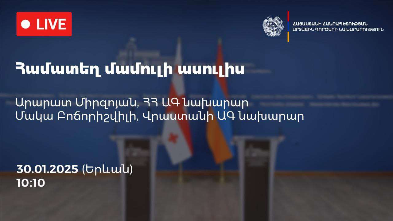 Joint press conference of the Foreign Ministers of Armenia and Georgia
