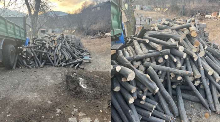 Գուգարքում ապօրինի ծառահատման դեպք է բացահայտվել