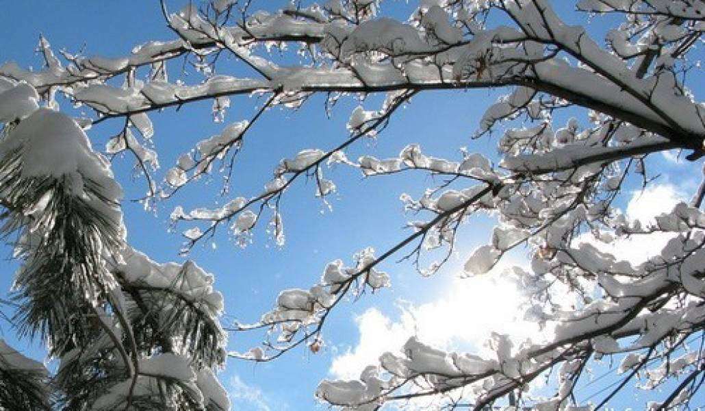 February weather forecast