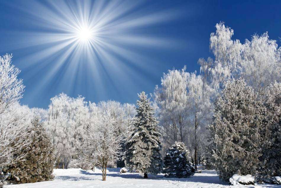 Weather without precipitation is expected