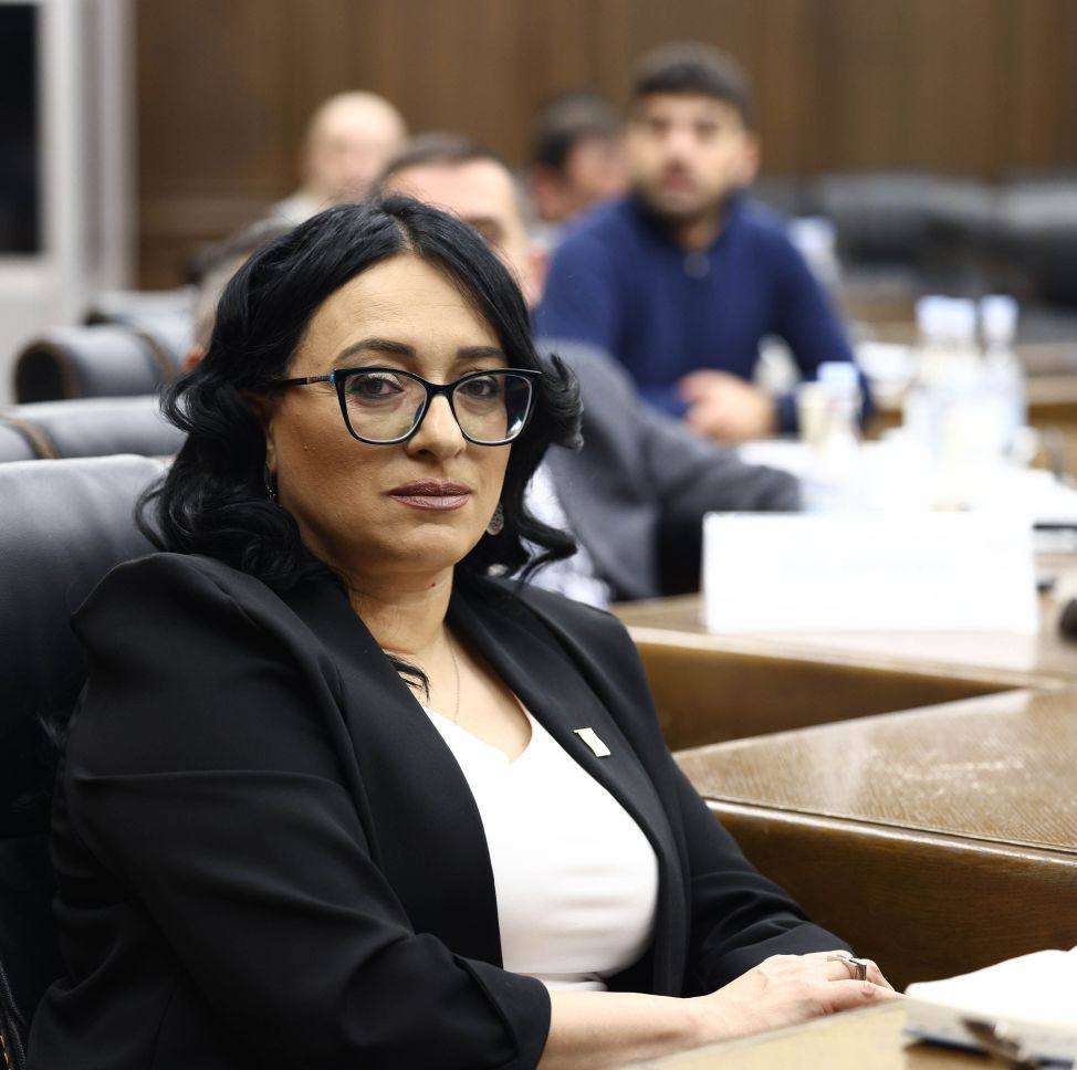 Դատապարտելի է պապիկին վիրավորելը․ Քրիստինե Վարդանյան