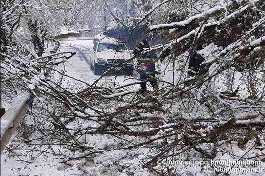 Վանաձորում ծառն ընկել է ճանապարհի երթևեկելի հատված