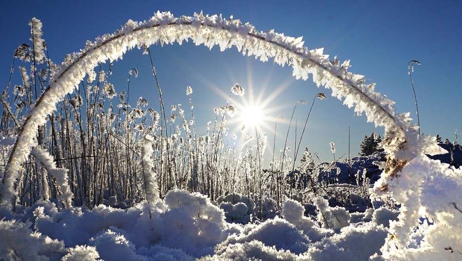 Precipitation is expected in some regions