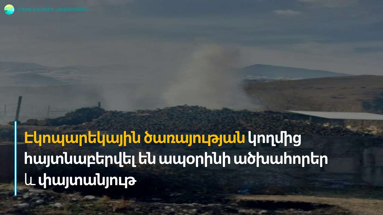 Իջևանում հայտնաբերվել են տասից ավելի ածխահորեր, հատված ծառեր, փայտածուխ