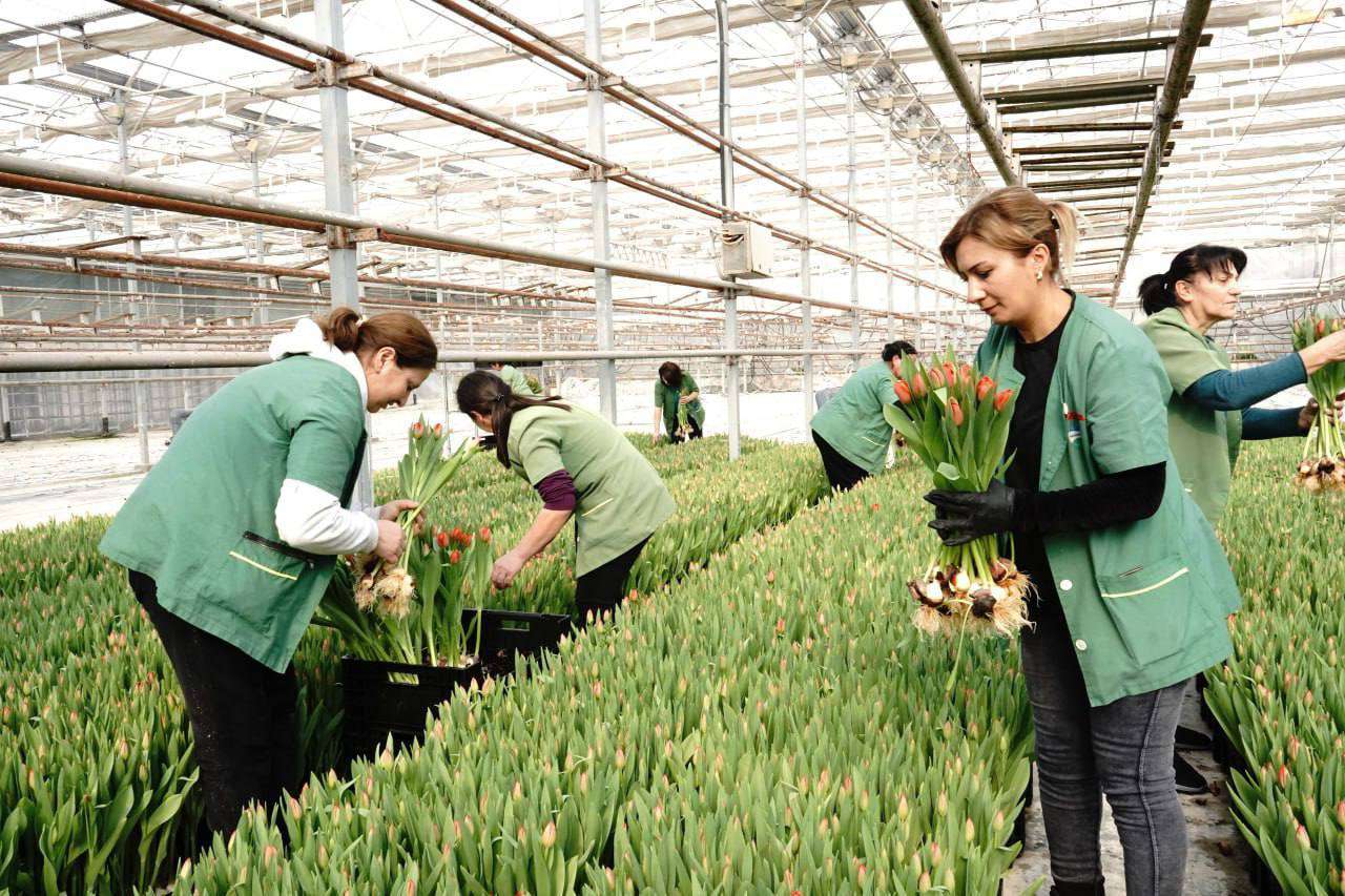 Նախարարն այցելել է Սպայկա ընկերություն