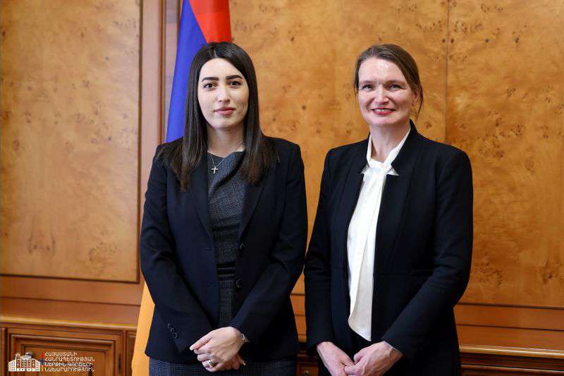 ՆԳ նախարարն ընդունել է ԵԽ պատվիրակությանը
