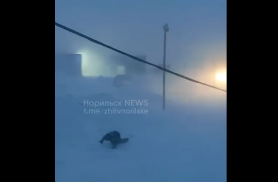 Ձնաբուք Նորիլսկում (ՏԵՍԱՆՅՈՒԹ)