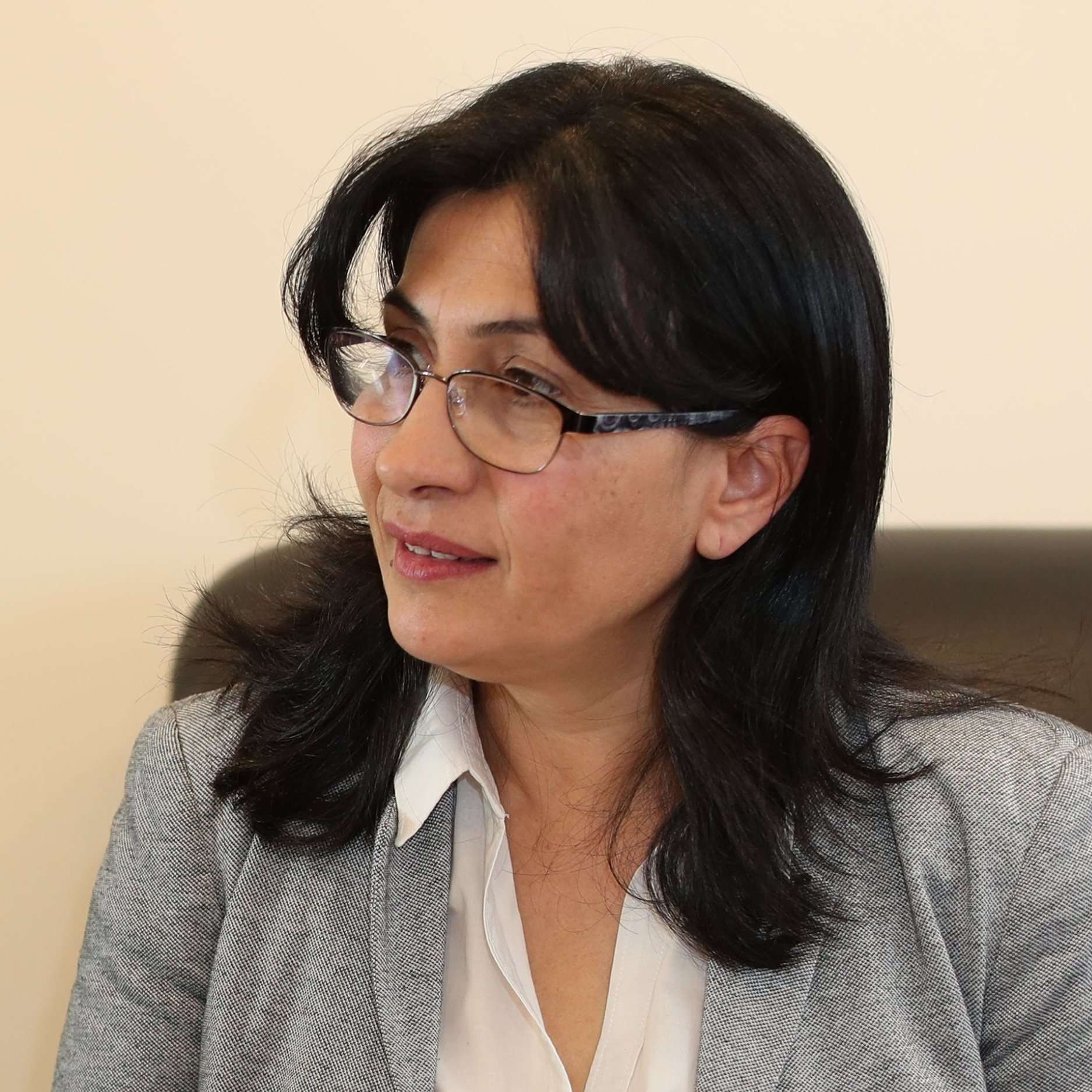 Հյուսիսային մարզերում կիրականացվեն մակրոսեյսմիկ հետազոտություններ