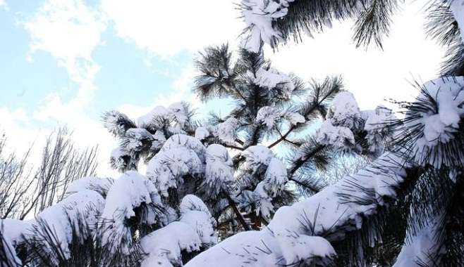 Օդի ջերմաստիճանը կնվազի ևս 7-10 աստիճանով