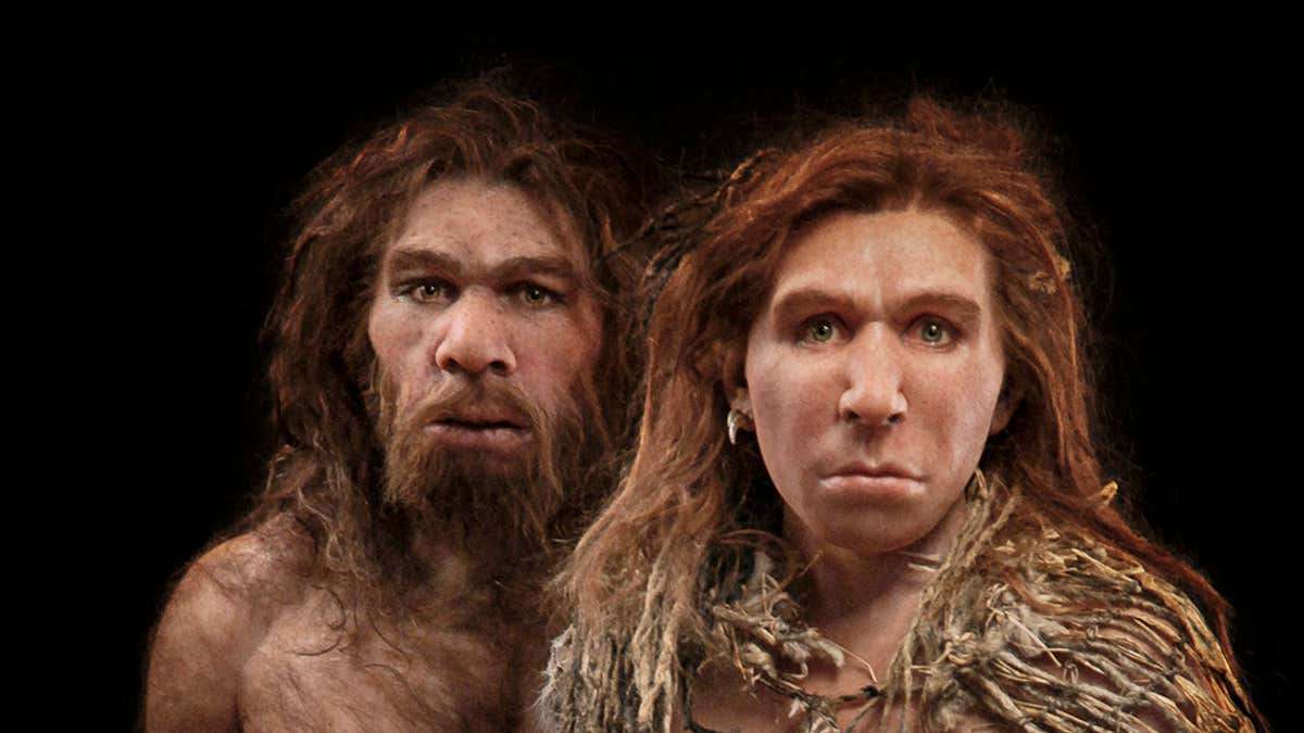 Homo Sapiens-ի ու նեանդերթալյան մարդու համատեղ կյանքը