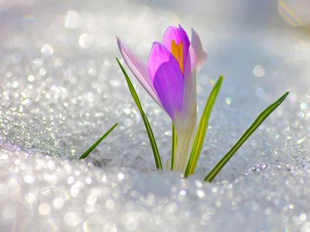 The air temperature will rise. weather without precipitation is expected