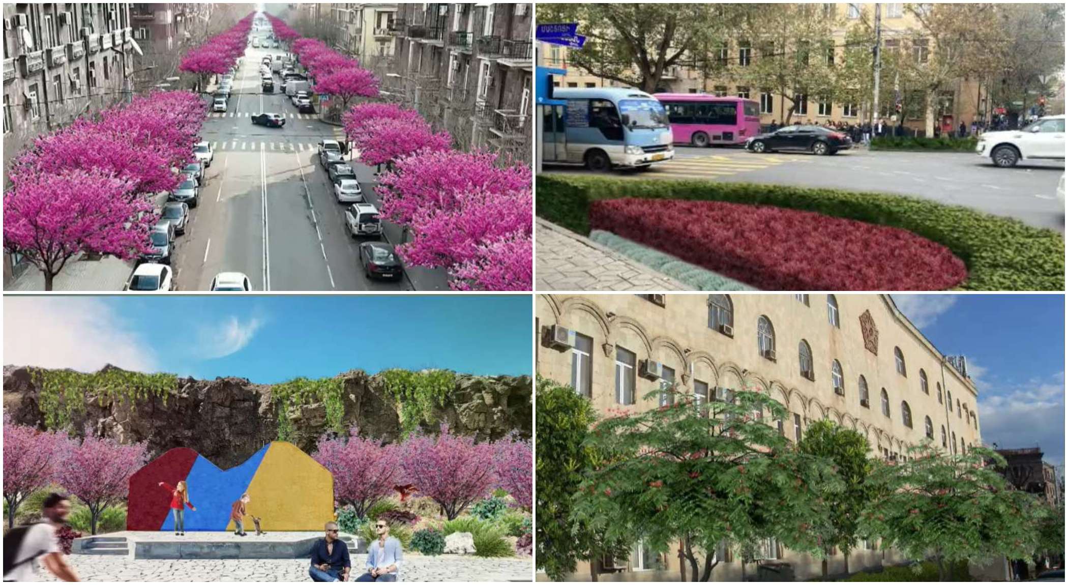 Կանաչապատման խոշոր ծրագրեր Երևանում (ՏԵՍԱՆՅՈՒԹ)