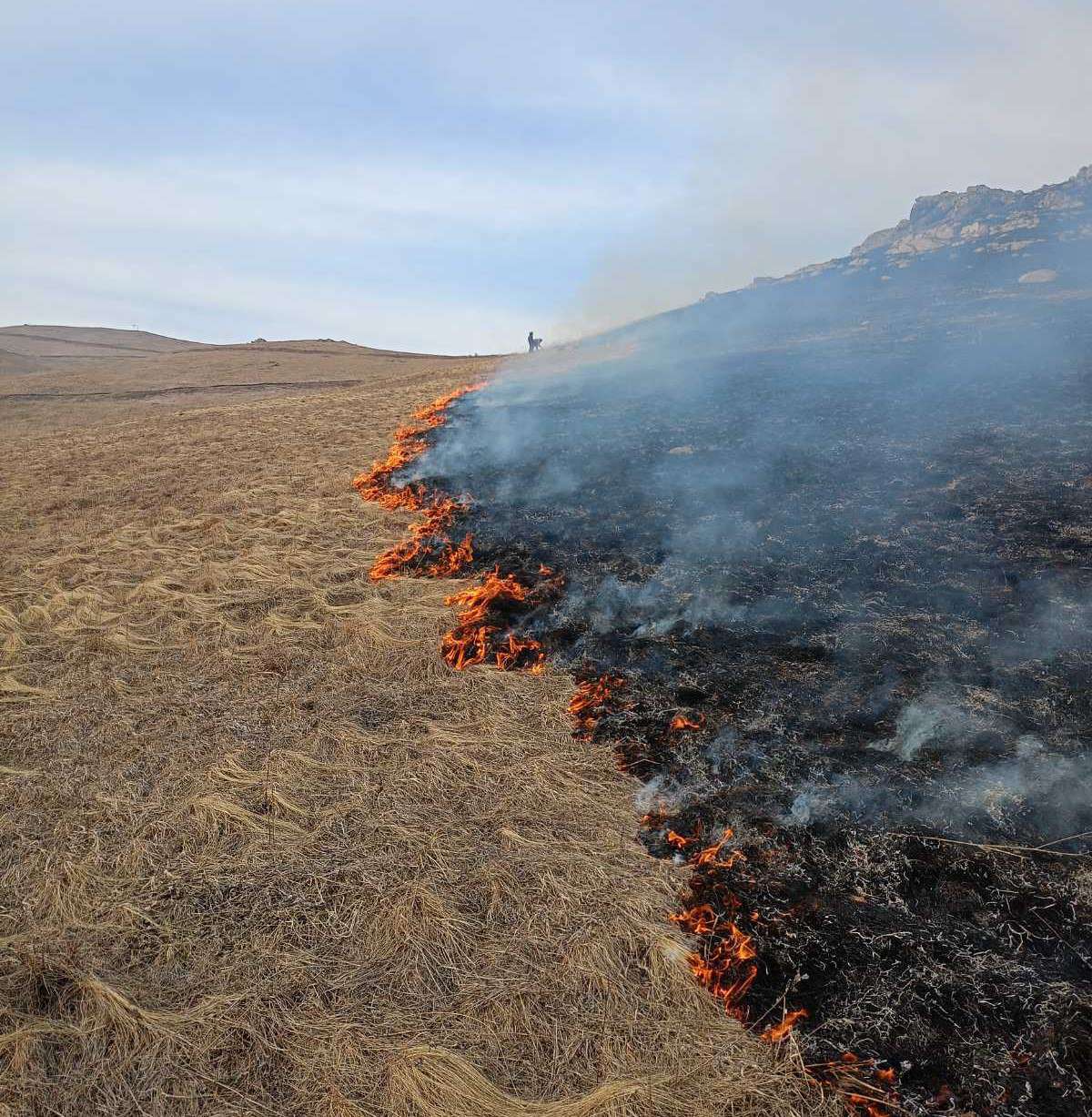 Ուռուտ գյուղում այրվել է մոտ 50 հա խոտածածկույթ
