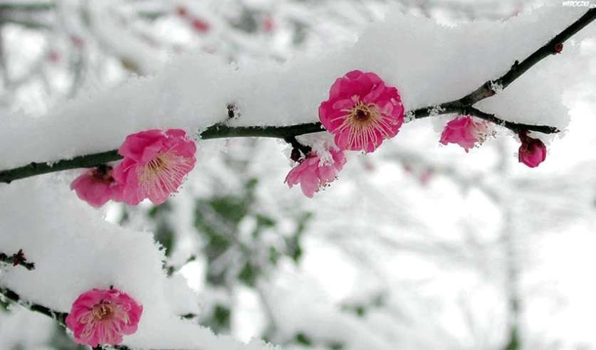 Snow is expected in some areas