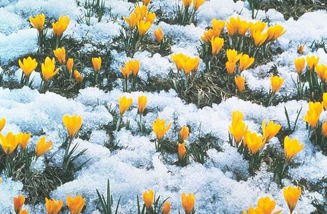 No precipitation is expected, the air temperature will continue to rise