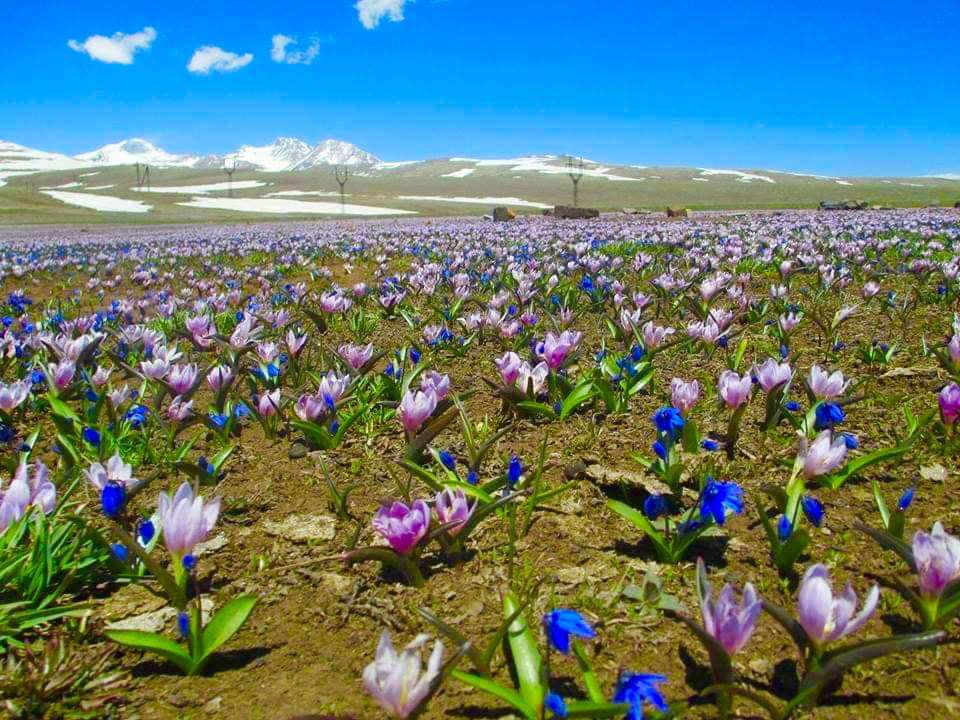 Սպասվում է անձրև