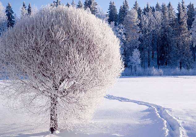 Ожидается снег, температура воздуха понизится на 5-6 градусов
