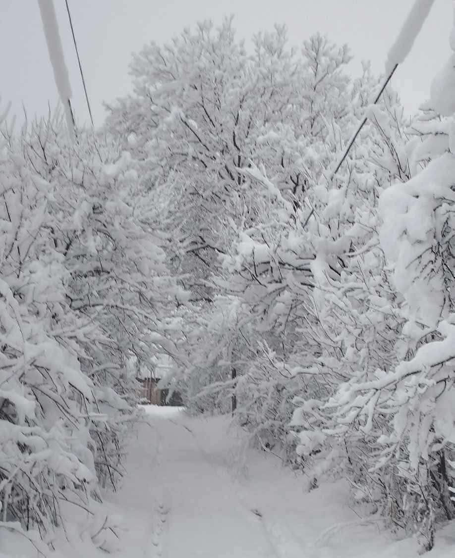 «Ձյան ծածկի բարձրությունը տատանվում է 20-30 սմ-ի սահմաններում». Սուրենյան