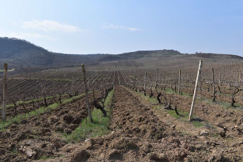 Azerbaijan opened fire on citizens carrying out agricultural works; Artsakh Ministry of Internal Affairs