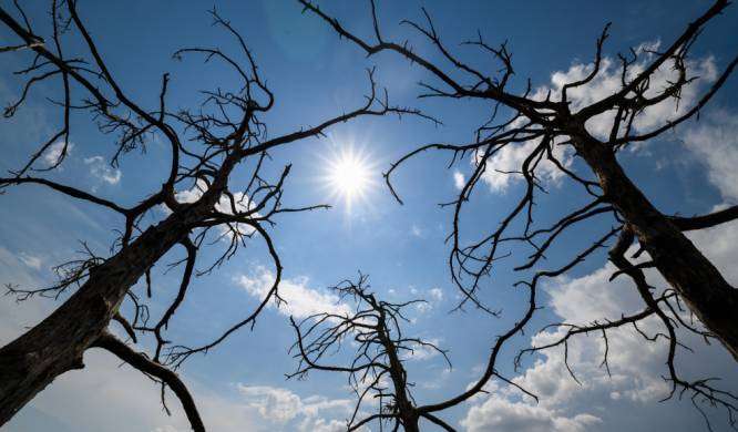 Ожидается погода без осадков