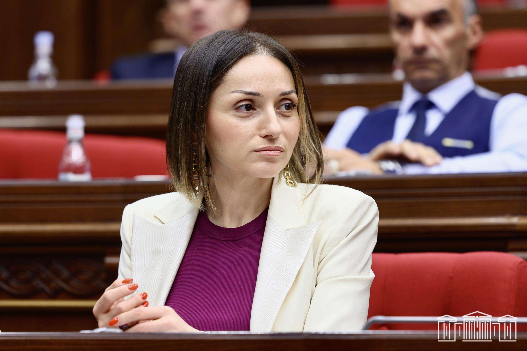 «Մնում է օդում առկախված». Ծովինար Վարդանյան (ՏԵՍԱՆՅՈՒԹ)