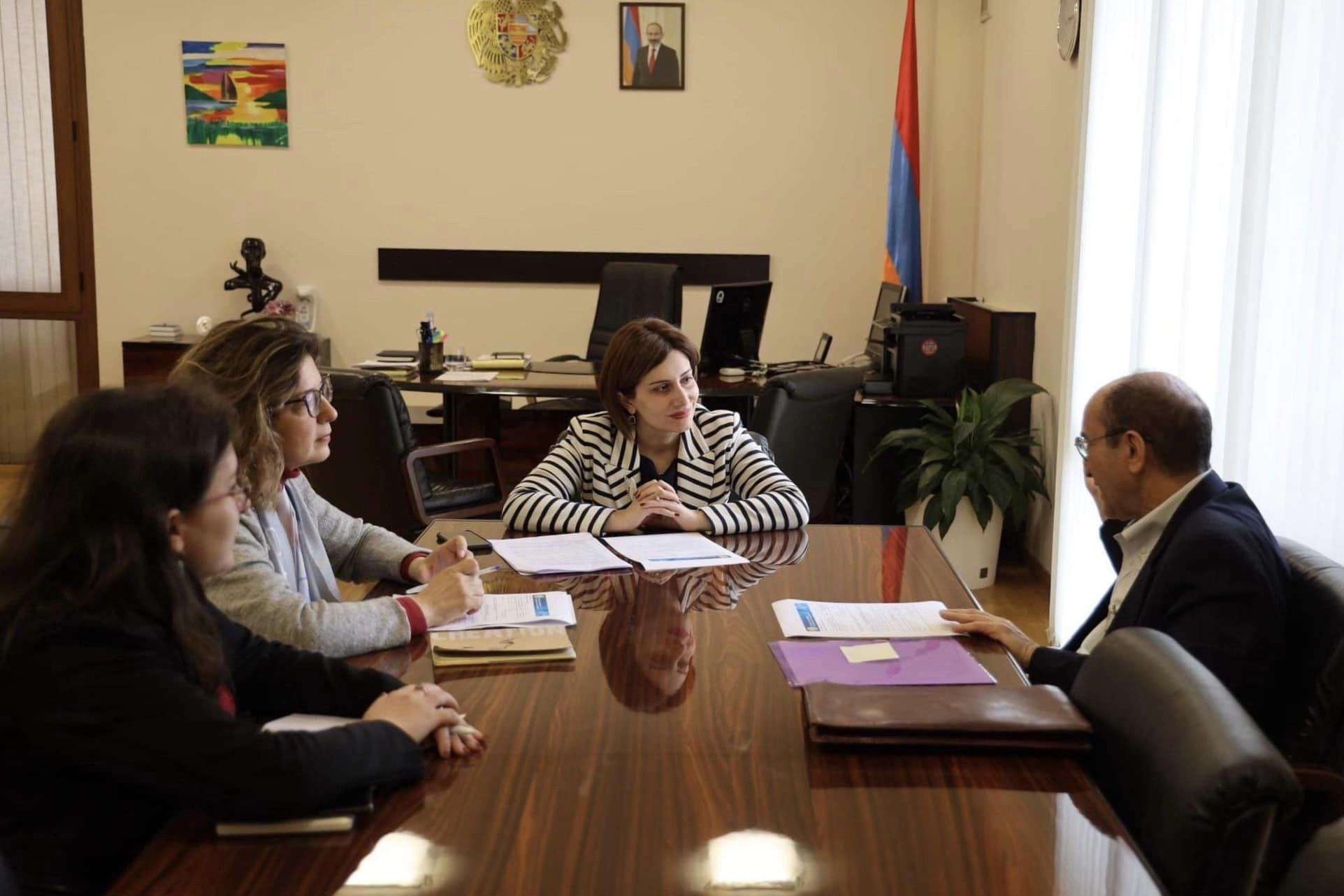 Анаит Аванесян подчеркнула важность привлечения опытных специалистов армянской диаспоры к реформам здравоохранения