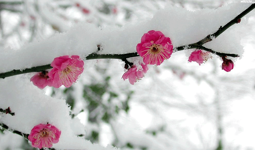 The temperature will drop sharply; risk of frost in a number of regions