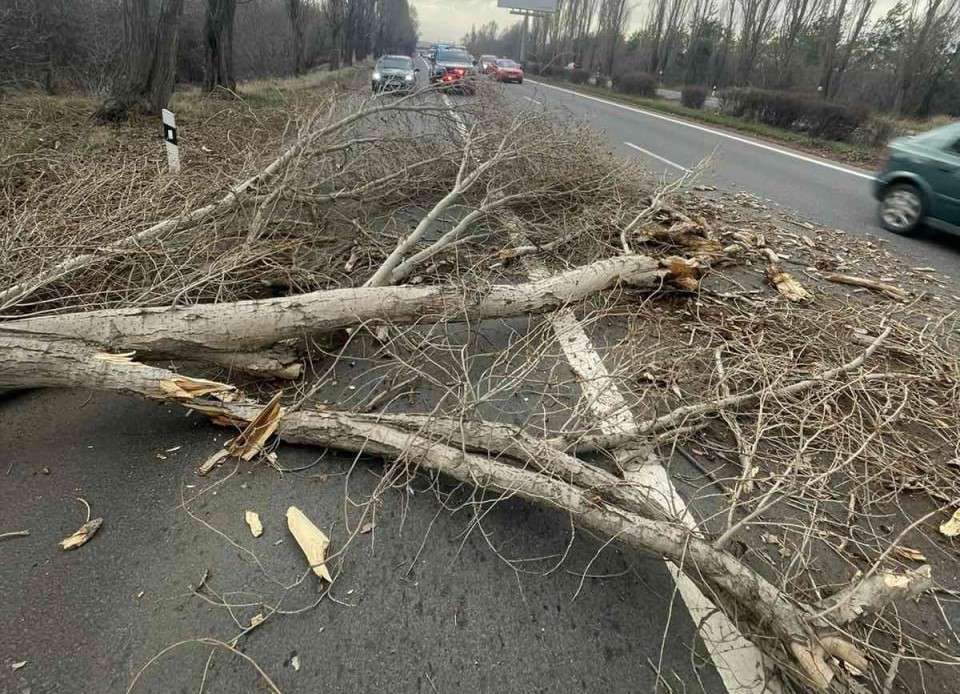 Երևան-Սևան և Գետափ-Մարտունի ավտոճանապարհներին ծառեր են տապալվել՝ վնասվելով ավտոմեքենաներ