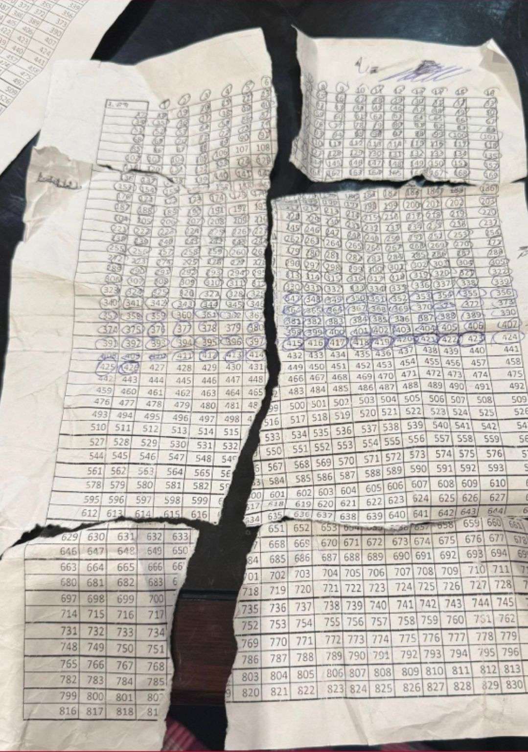 Սա մասնակցությունը ձեռքով հաշվելու թերթիկ է. Իոաննիսյան