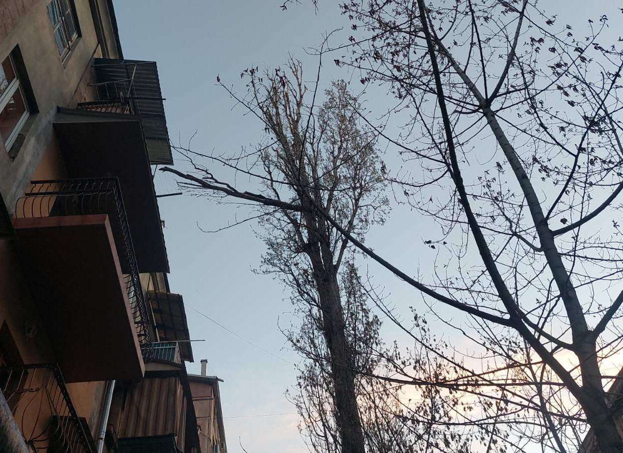 Քամու հետևանքով տապալվել են ծառեր, թուլացել և պոկվել են ալեհավաքներ և տանիքների թիթեղներ