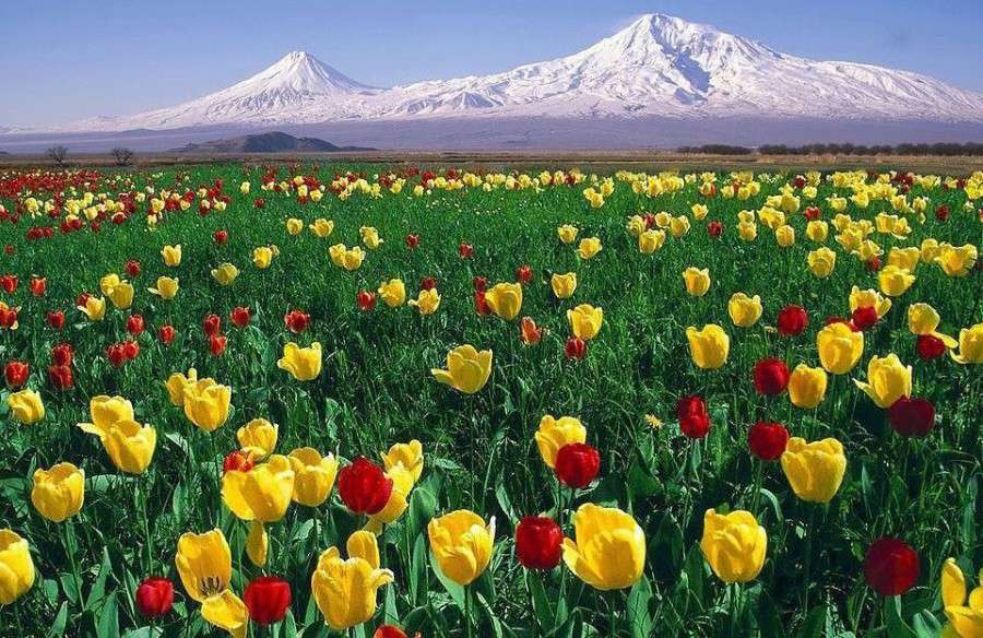 Weather without precipitation is expected, the air temperature will rise by 13-16 degrees