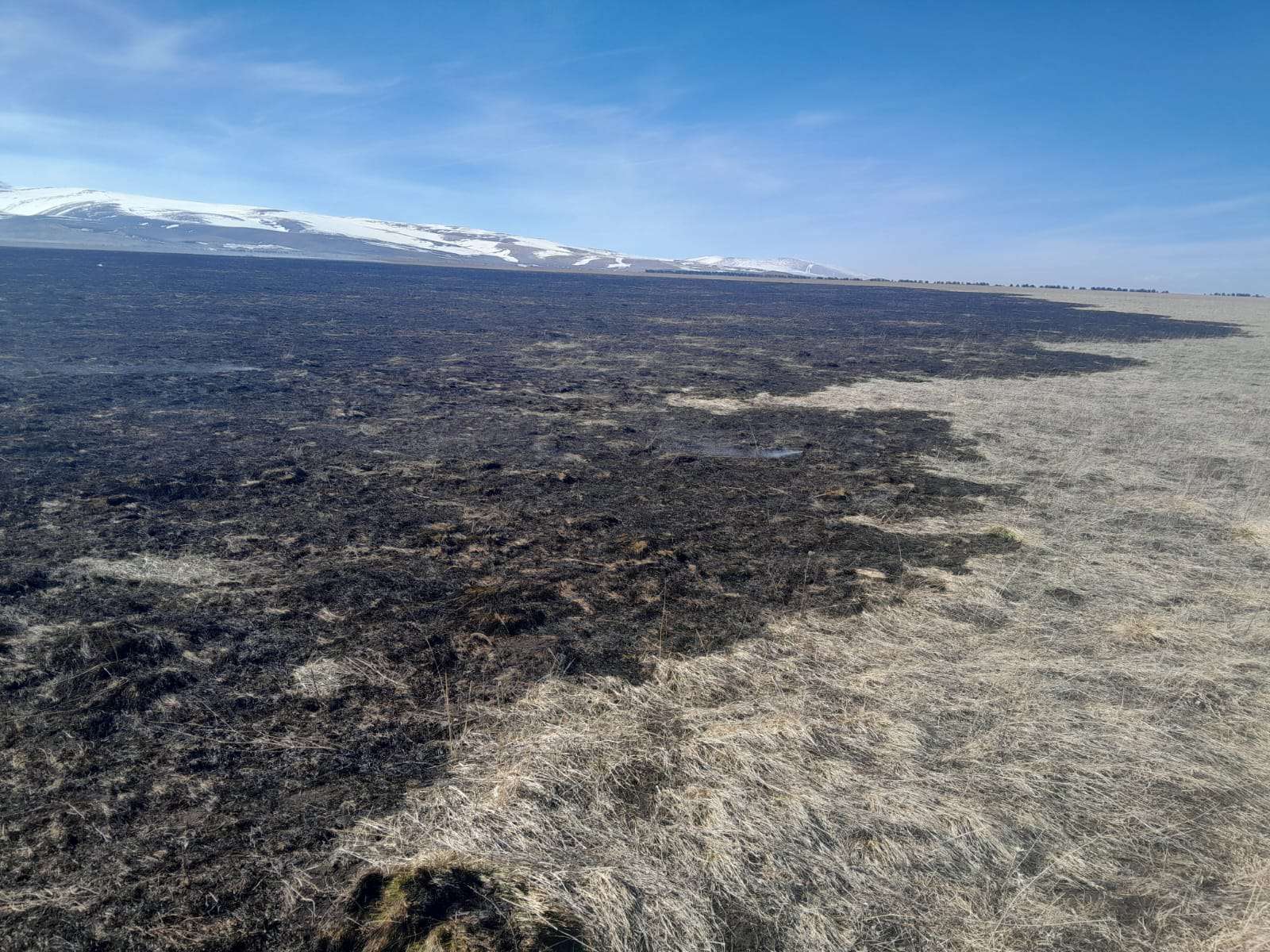 Լոռու մարզում այրվել է խոտածածկույթ
