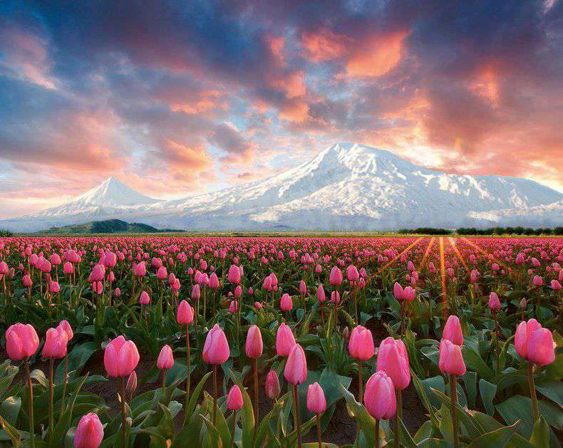 The air temperature will rise by 13-16 degrees