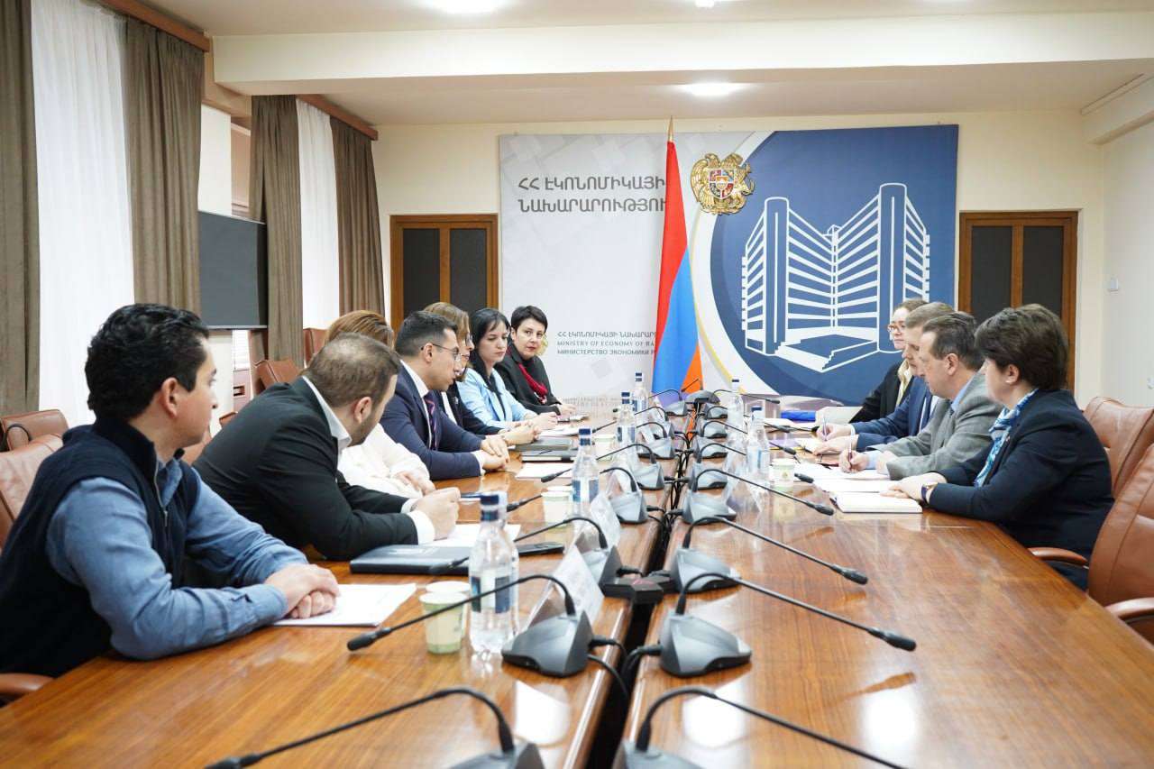 The German team presented the upcoming actions regarding the Armenian economy