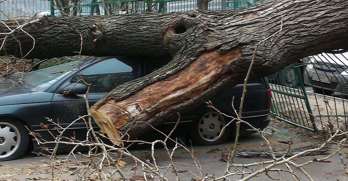 Մոսկվայում եղանակային վատ պայմանների հետևանքով 2 մարդ է մահացել, 15-ը՝ տուժել
