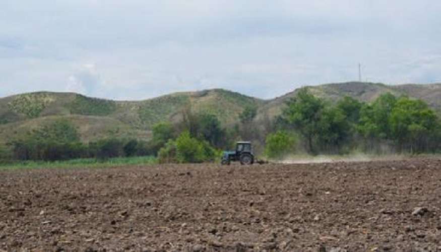 Together with the Russian peacekeepers, they organize the security of agricultural works in the areas close to the contact line