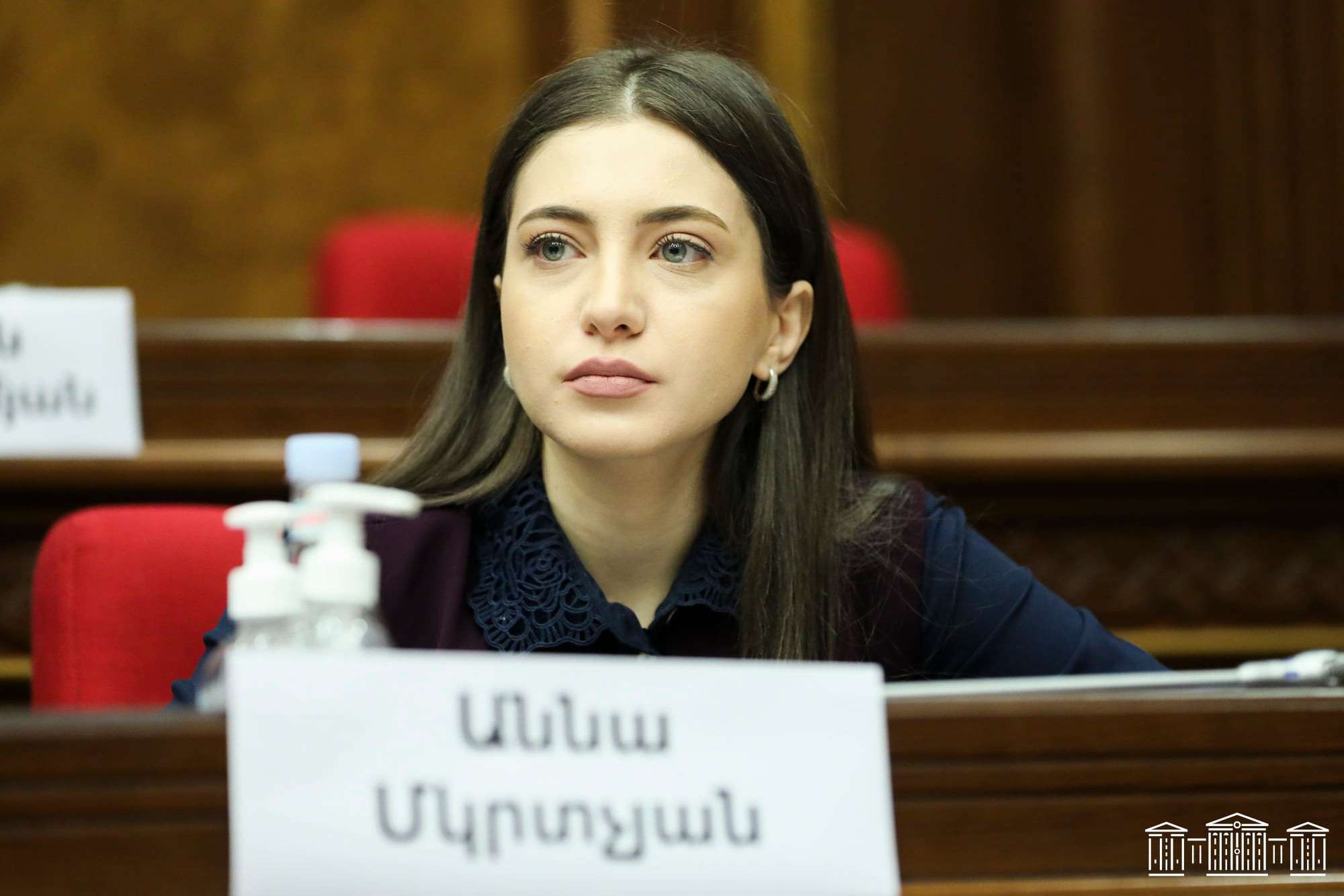 «Օգտագործվելու են բոլոր գործիքները՝ ազգադավներին հեռացնելու համար». Մկրտչյան
