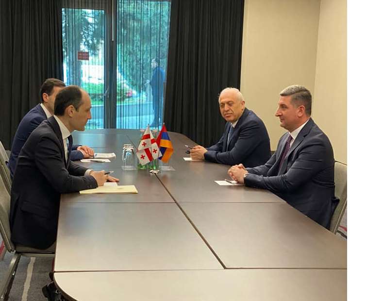 Գնել Սանոսյանը և Վրաստանի փոխվարչապետը անդրադարձել են ավիացիայի, տրանսպորտի և էներգետիկայի ոլորտներում համագործակցությանը