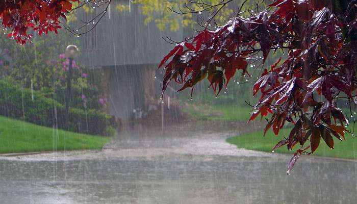 Precipitation is expected, air temperature will rise