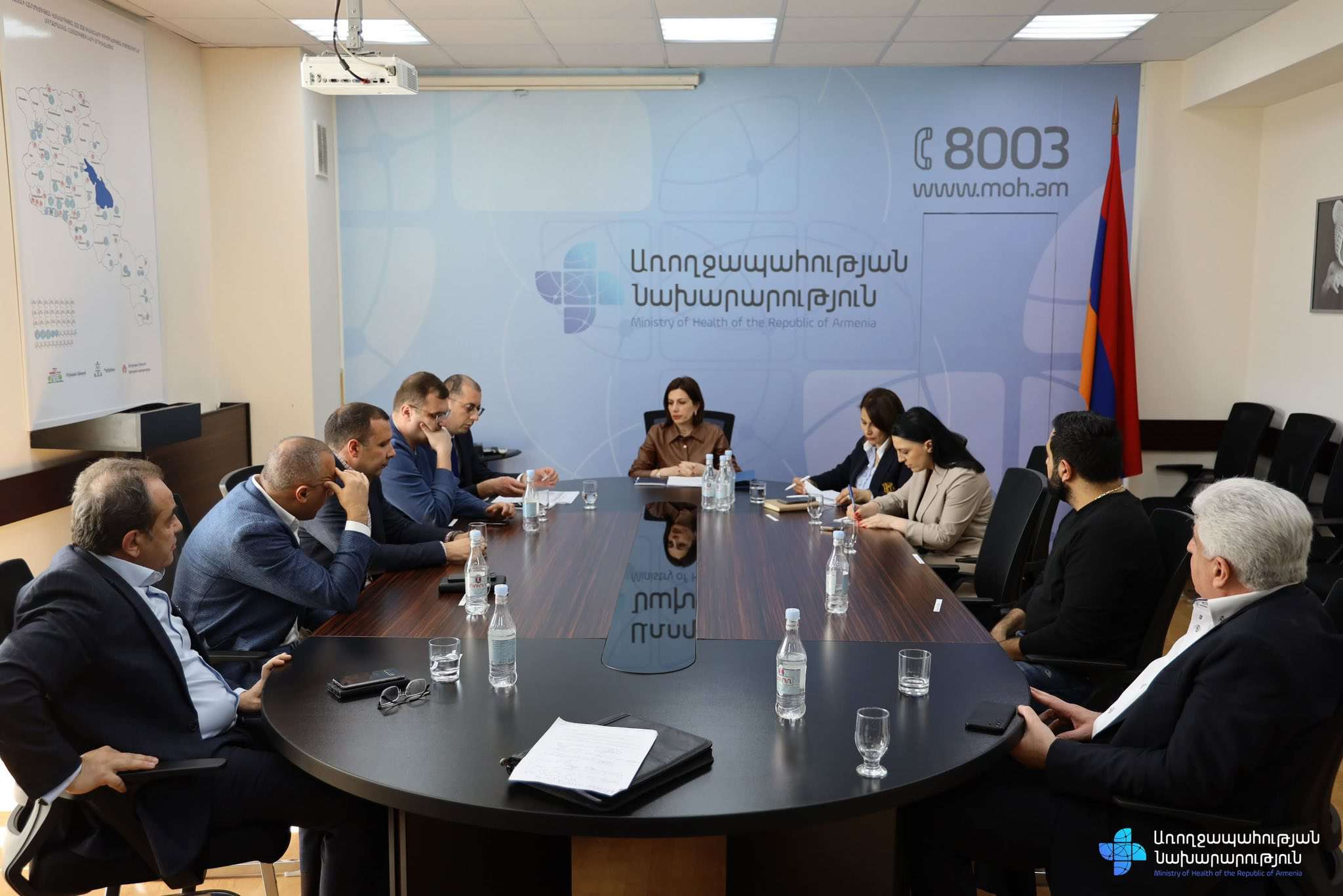 Անահիտ Ավանեսյանը հանդիպել է դեղ ներմուծող ընկերությունների ներկայացուցիչների հետ
