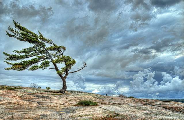 Ожидается усиление ветра, температура воздуха понизится на 10-13 градусов.