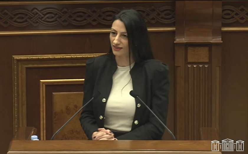 «Образ армянина должен вызывать уважение и конкуренцию». Кандидат на пост ЗПЧ